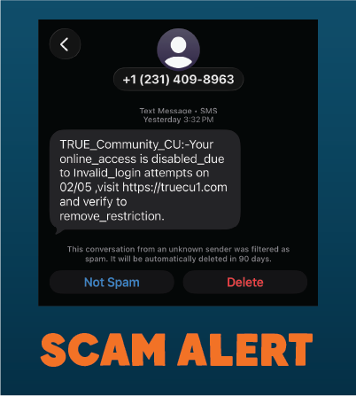 Scam Alert - Arrow Graphic